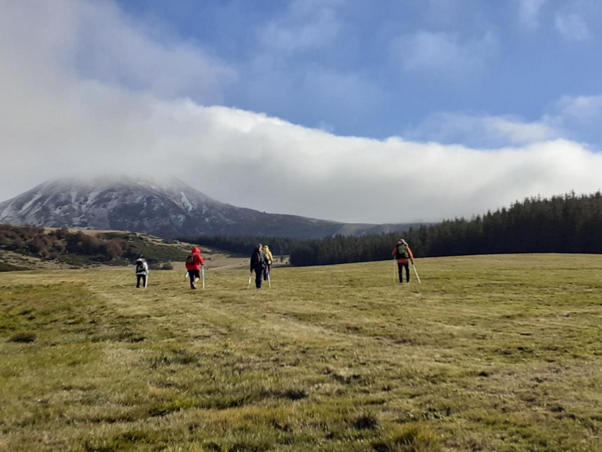 Gite Le Sancy Lägenhet Chastreix Exteriör bild